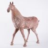 A Chinese Tang Dynasty Pottery Horse