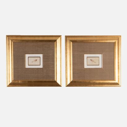 A Set of Two Framed Fossilized Fish (BC)