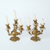 A Pair of Gilt Bronze Rococo Candelabras