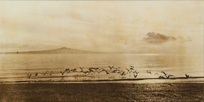 A Vintage Picture of Rangitoto Island