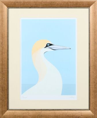 CATHY HANSBY The Native Australian Gannet