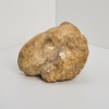 A 1st-2nd Century Marble Ram&rsquo;s Head, Ancient Rome - 2
