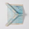 JEFF THOMSON untitled