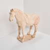 A Tang Dynasty Horse, China
