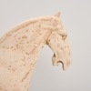 A Tang Dynasty Horse, China - 3