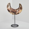 A Kina Shell Ornament, Papua New Guinea - 2