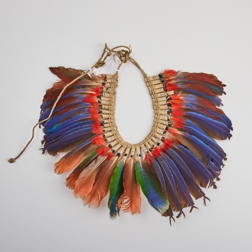 A Parrot Feather Headdress, Papua New Guinea