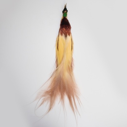 An Emperor of Paradise Headdress Ornament, Highlands, Papua New Guinea