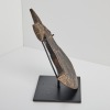A 19th Century Zoomorphic Axe Head, Solomon Islands - 3