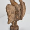 A Senufo Hornbill Figure, Ivory Coast - 4