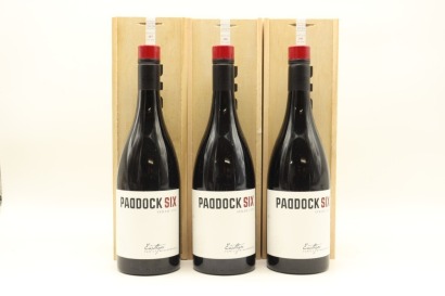 (3) 2020 Easthope Family Winegrowers Paddock Six Syrah, Hawke's Bay (GB)