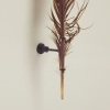 A Framed Huia Feather, Aotearoa - 3