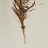 A Framed Huia Feather, Aotearoa - 4