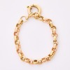 9ct Yellow / Rose Gold, 19cm Belcher Link Bracelet