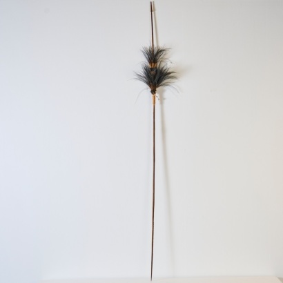 A Spear with Cassowary Feathers, Papua New Guinea