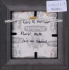 LOIS MCIVOR Puriri Moth - 3