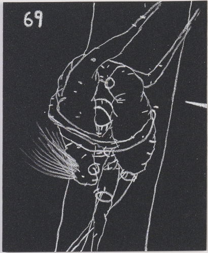 RICHARD LEWER untitled (69)