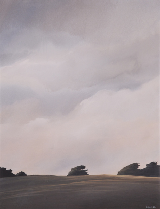 BRUCE HUNT Skyscape (Tinakori)