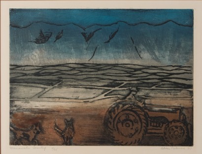 ALISON PICKMERE Manawatu Country