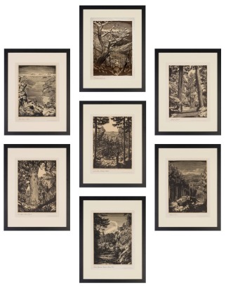 DOUGLAS J. WATKINS Forestry Prints (Lake Rotoroa, Nelson; Hongi's Track; Devastated Hill Country; Kaingaroa Forest; Tane Mahuta, Waipoua Forest; Larch Forest, Waiotapu, Rotorua; Mt. Ngauruhoe, Tongariro National Park)