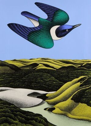 DON BINNEY Swoop of The Kotare Wainamu