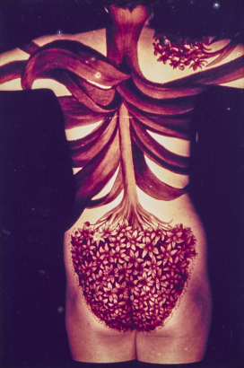 EMMA BASS untitled