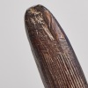 A 19th Century Boomerang, Australia - 4