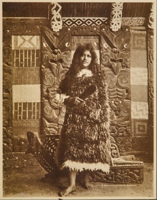 THOMAS PRINGLE A Whakarewarewa Beauty