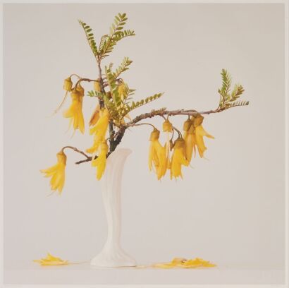 EMMA BASS Kowhai 1.59pm