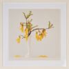EMMA BASS Kowhai 1.59pm - 2