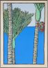 TOM BURNETT Nikau