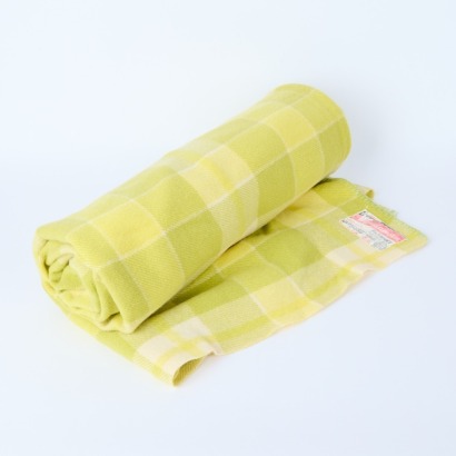 A Wonderwarm Pure Wool Blanket