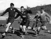 All Black Trials: R.H. Ward (Southland), J.G. Rankin (Canterbury) and C.E. Quaid (Otago)