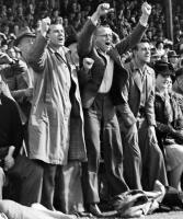 Spectators at Australia v. New Zealand Rugby test