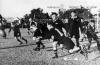 L.T. Savage throws a pass from the scrum during Eastern Province's match, behind him are Peter Henderson, P.J.B. Crowley and W. Louw