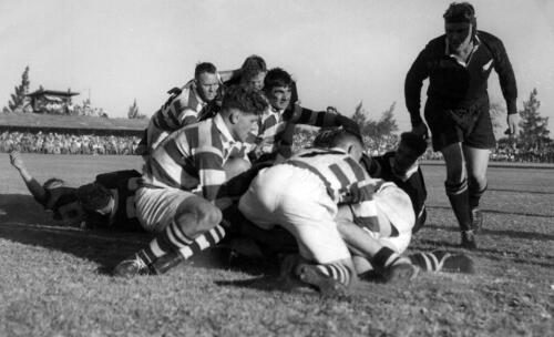 W.J. Conrad (New Zealand) scoring the second try, Louw (Transvaal full-back) throws himself over the line, W.A. Meates races up to support Simpson