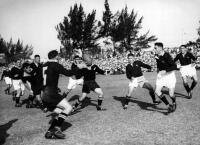 N.W. Black (NZ - Auckland) scrum half passes to Dr. R.R. Elvidge (NZ - Otago)