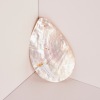 A Mother of Pearl Riji with Crab Design, Australia - 2
