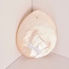A Mother of Pearl Riji with Kangaroo Design, Australia - 2
