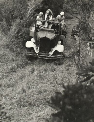 MARTI FRIEDLANDER Farm, Coromandel