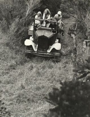 MARTI FRIEDLANDER Farm, Coromandel