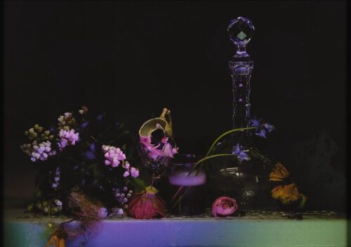 FIONA PARDINGTON Still Life with Colin's Flowers, Lichen and Rainwater, from the Colin McCahon Residency