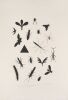 RICHARD KILLEEN Tropical Collection