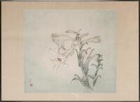 A Chinese Painting of Lily (Zhang Yayan Mark)