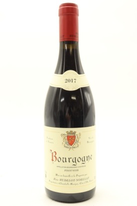 (1) 2017 Alain Hudelot-Noellat Bourgogne Rouge, Burgundy &diams;