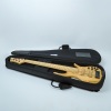 An F Bass 6 String Bass - 2