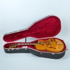 A Gibson Byrdland - 2