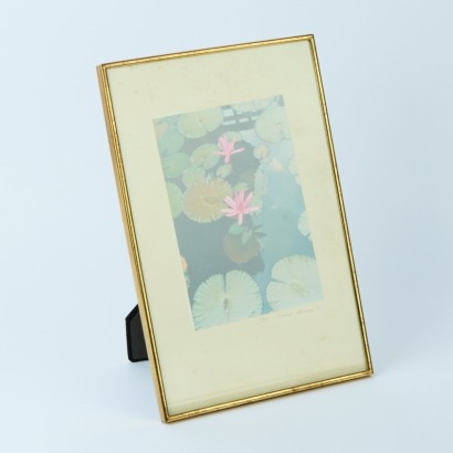A Framed Photograph of Waterlilies