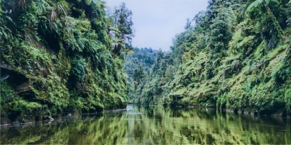 A Print on Acrylic of the Whanganui River