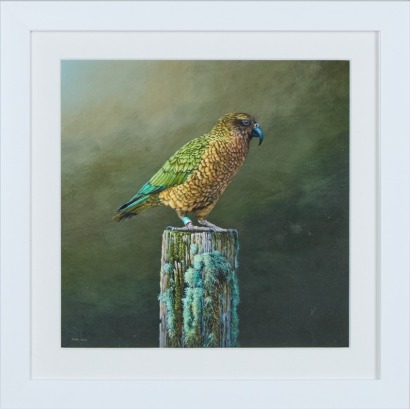 A Peter Geen 'Kea the Alpine Clown' Giclee Print